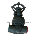 ANSI Forged Carbon Steel A105 Thread End NPT Gate Valve